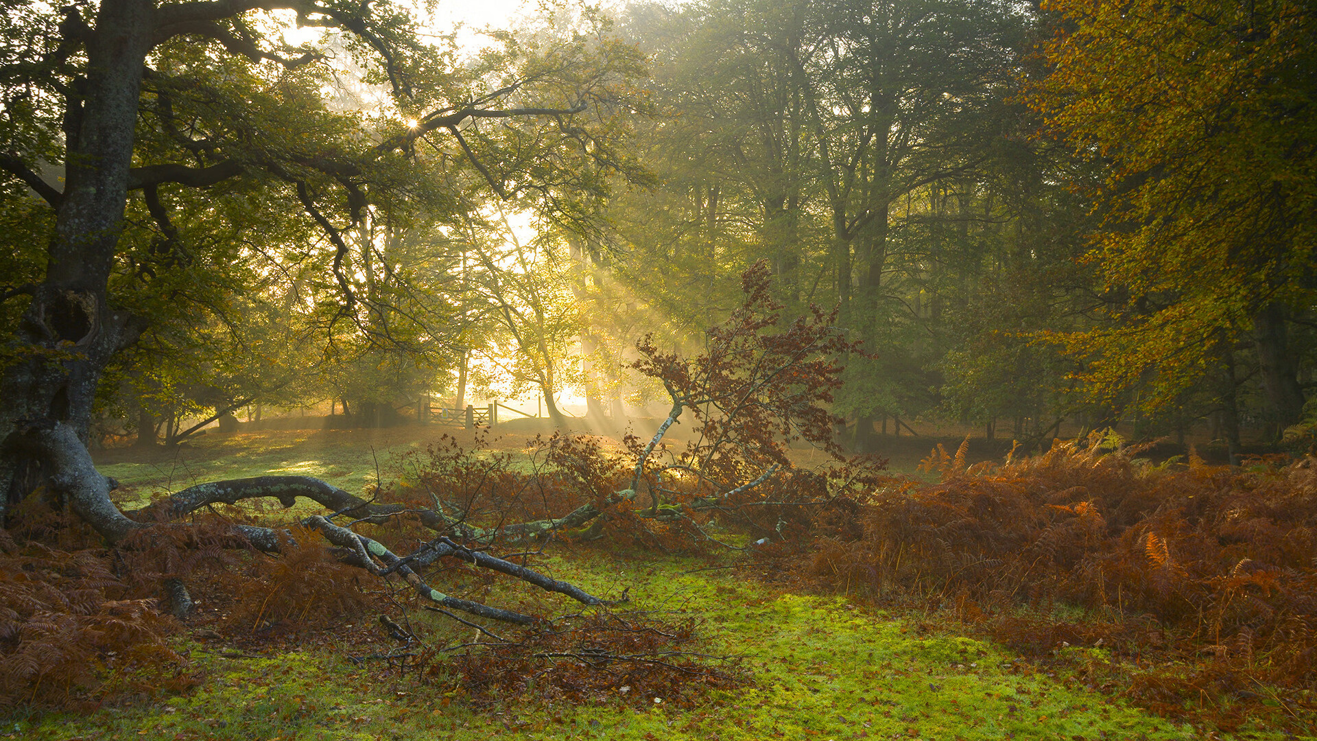 <a href=https://www.tgqjwang.com/ target=_blank class=infotextkey>情降</a>七七<a href=https://www.tgqjwang.com/ target=_blank class=infotextkey>情降</a>是不是真的