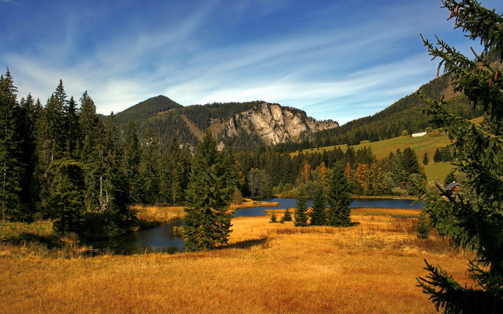 警情压降，维护社会治安的新挑战